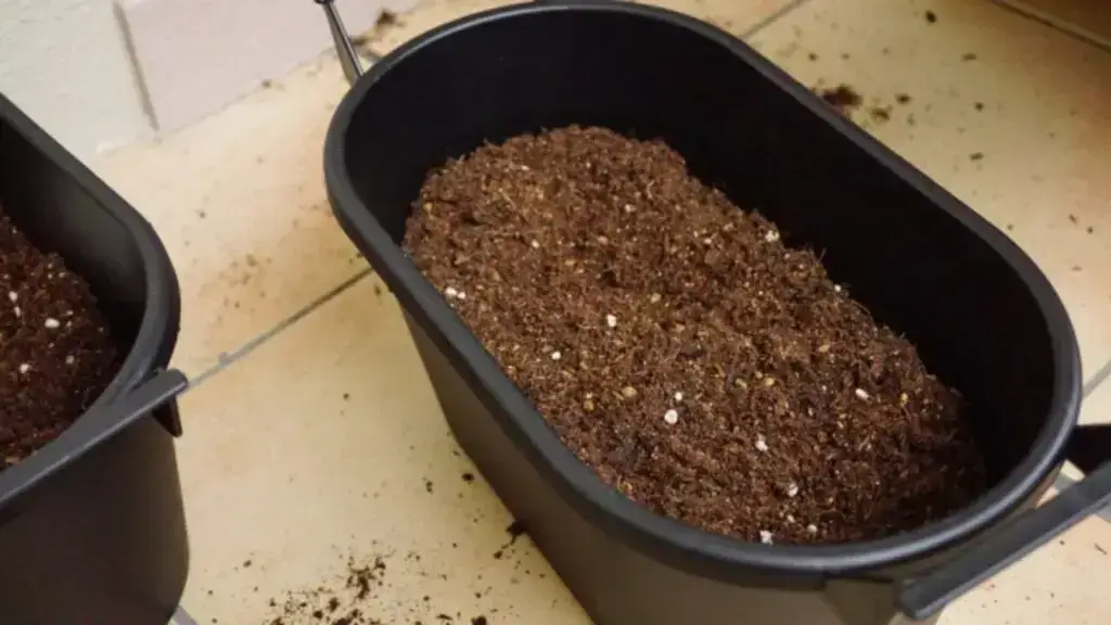 家庭菜園の様子